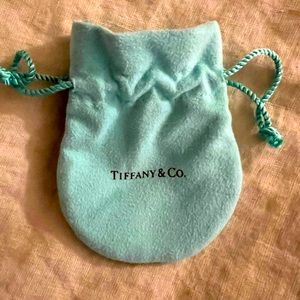 Small Tiffany & Co. Jewelry Duster Bag